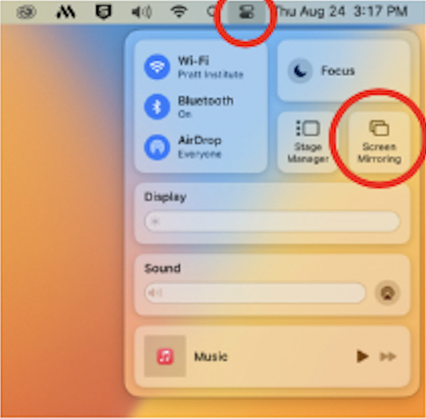screen mirroring menu on an apple device